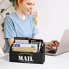 Mail Organizer, Mail Holder with 2 Slots, Mail Basket for