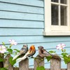 TUESMEILL Artificial Birds for Crafts Clip On Bird Ornaments Artificial