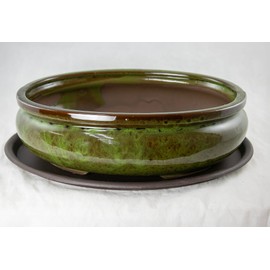 Oval Glazed Bonsai/Succulent Pot with Tray and Mesh 12"x 8.5"x 3.75" - Moss Green