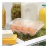 iDesign 73030 Fridge/Freeze Binz Egg Holder, Small Storage Box for