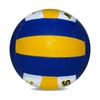 Spartan Volleyball Japanese Tri Color