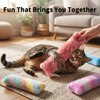 HoneyGuaridan Cat Toys Pillows, 4 Pack, Soft and Durable Crinkle