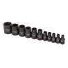 CASOMAN 11PCS Female Torx Socket Set, E Torx & Star