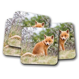 4 Set - Ginger Baby Fox Coaster - Cute Wildlife Animal Wild #15612