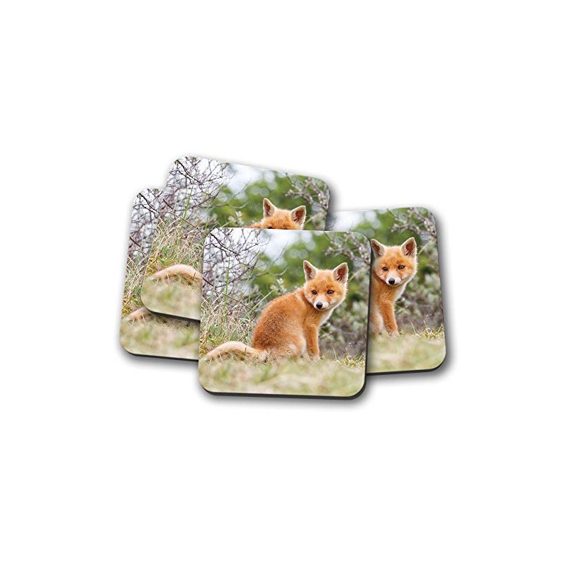4 Set - Ginger Baby Fox Coaster - Cute Wildlife