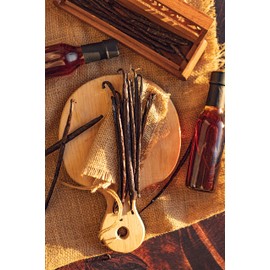 10 Organic Madagascar Vanilla Beans Whole Grade A Vanilla Pods for Vanilla Extract and Baking