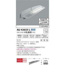 Koizumi Lighting AU43655L Security Light, FL20W Equivalent, Daylight White, Silver Paint