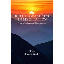 Direct Awakening in Meditation: From Mindfulness to Knowingness
