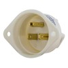 Bryant Electric 5278 Industrial Grade 15 Amp 125V Nema 5-15P