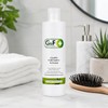 Anti-dandruff shampoo. Shampoo oily hair in a 300 ml bottle.