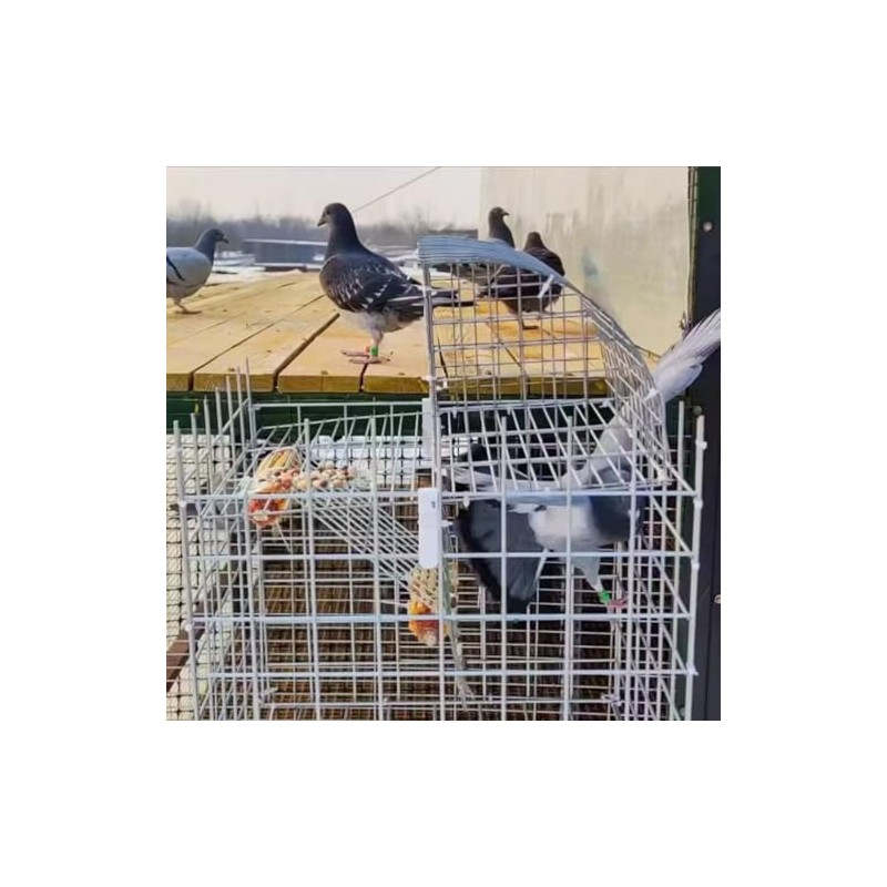 Pigeon Cage, Household Automatic Sky Falling Bird Container Rotating Flip