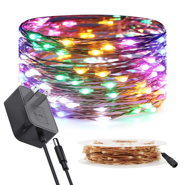 RUICHEN Copper Wire Fairy Lights Plug in 33 Ft 100