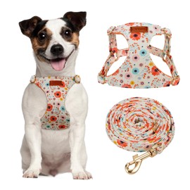 CHEDE No Pull Floral Pattern Dog Harness- Lightweight and Soft Dog Harness, Adjustable Small Dog Harness and Leash Set, with Dog Leash, Suitable for Puppy Small and Medium-Sized Dog