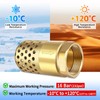 Brass Foot Valve 1 inch NPT Heavy Duty Spring Mesh