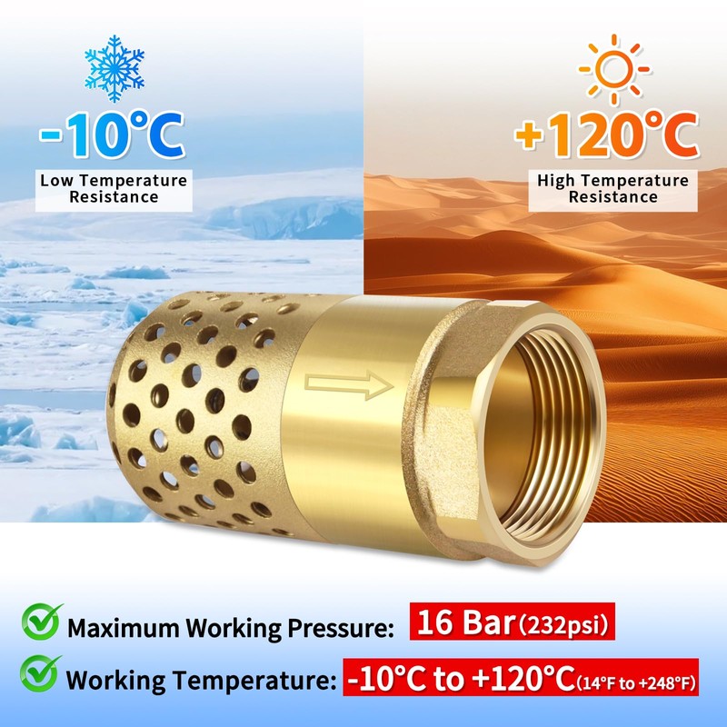 Brass Foot Valve 1 inch NPT Heavy Duty Spring Mesh