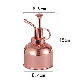 Leadigol Stainless Steel Plant Mister Spray Bottle,Small Plant Sprayer Mister Watering Can,Garden Bonsai Succulent Watering Bottle with Top Pump,Potted Plant Watering Spray Bottle