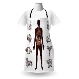 Ambesonne Anatomy Apron, Human Body with Internal Organs Sketch Health Biology Man Physiology, Unisex Kitchen Bib with Adjustable Neck for Cooking Gardening, Adult Size, Brown Pink