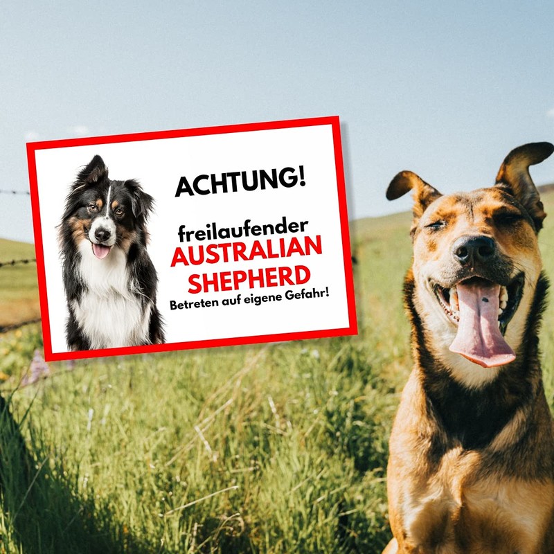 Australian Shepherd Free-Ranging Dog Sign Saying Door Sign Dog Sign