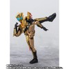 s.h.fig uarts Kamen Rider Legend