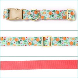 Petiry Vibrant Orange Fruit Print Nylon Dog Collar For Medium Dogs Neck 42-48cm,Orange,M
