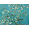 BOSKA Mini Van Gogh Cheese Slicer - Almond Blossom /