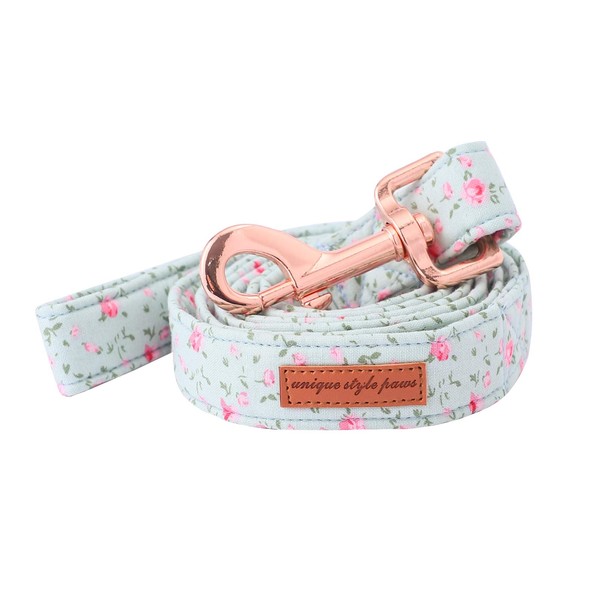 Unique Style Paws Bow Tie Collar Adjustable Collar or Lead