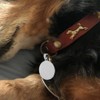 LALAFINA Placa Redonda De Acero Inoxidable Para Perro Y Gato