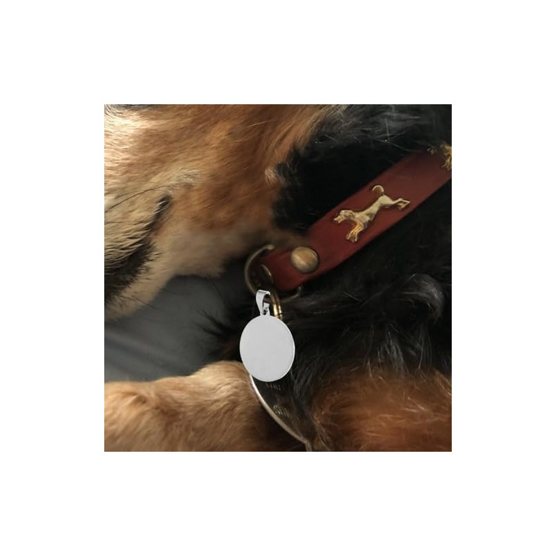 LALAFINA Placa Redonda De Acero Inoxidable Para Perro Y Gato
