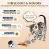 ORSDA Cat Toys, Interactive Cat Toy Ball for Indoor Cats,