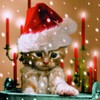 20 Napkins Sleepy Cat - Dreamy Cat / Winter / Christmas 33 x 33 cm