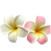 Hawaiianische Frangipani-Plumeria-Clips und Haarspangen, Schaumstoffkopf, Blume, Party, Strand, Haarschmuck, 2 Stück, 7 cm, Weiß und Rosa