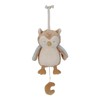 Little Dutch Forest Friends 8906 Music Box Owl