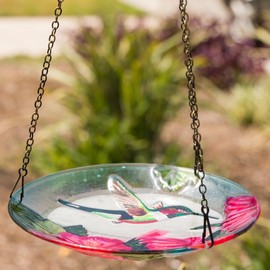 Alpine Corporation KBD150 10" Glass Red Bird Feeder, Hanging Birdfeeder w/Flowers & Hummingbird