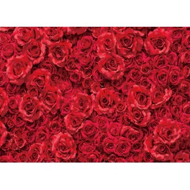 Spring Flower Backdrop Red Rose Floral Wedding Photograph Background Roses Wall Lovers Girls Party Decoration Photo Studio Booth Props 8x6FT