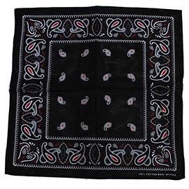 Zac's Alter Ego Alternate Vintage Style Tricolour Retro Paisley Bandana