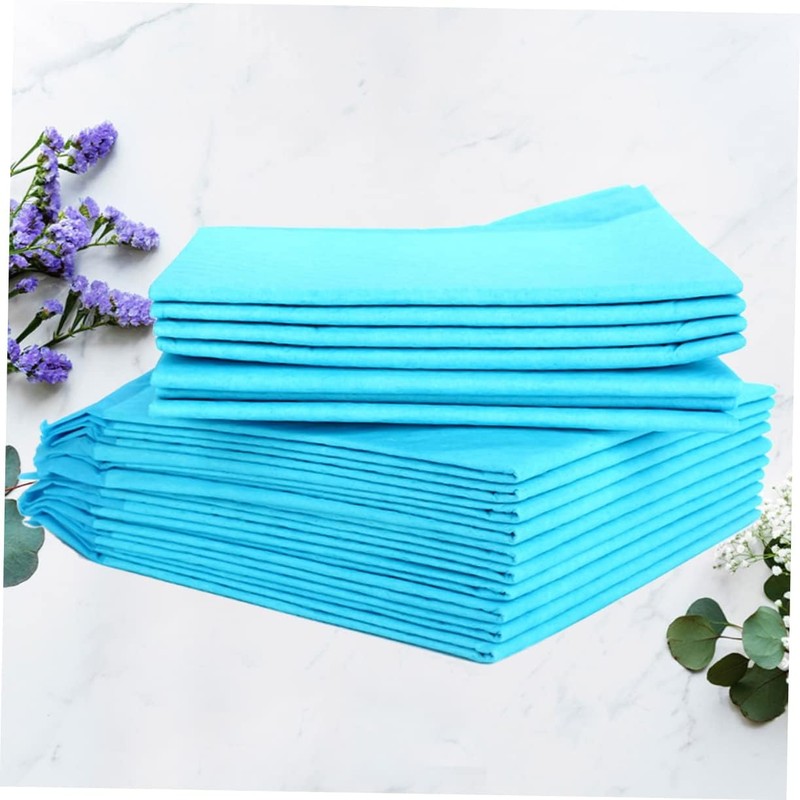 GANAZONO 10Pcs Disposable Pet Training Urine Pads Medium Random Blue