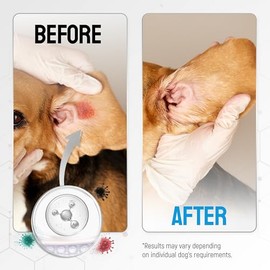 Silver Dog Wound Spray Helps with Hot Spots, Irritations, Bites, Burns, Rashes, Itch, Scratching – Better Use with a Dog Cone to Stop Licking – Safe for Large and Small Breeds – 4 oz