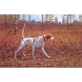 Owen Gromme - Edge of the Field - Pointer Artist's Proof on Paper