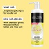 Sheer Blonde Go Blonder Shampoo 16oz