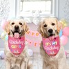 Agroon Blue Dog Birthday Bandana Boy XLarge 1PCS