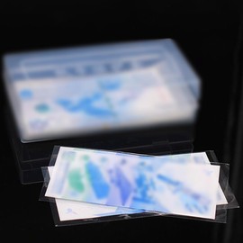 JIHUOO 100 Pcs Clear Paper Money Holder Currency Sleeves Money Sleeves Protector Bill Holder Plastic Money Storage Case Resealable Graded Card Sleeves Gathering Card Sleeves 10 x 18cm