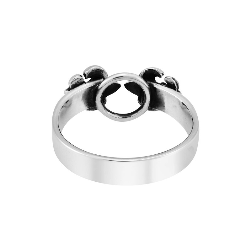 AeraVida Purely Stylish Mirrored Fleur de Lis or Lily Flower