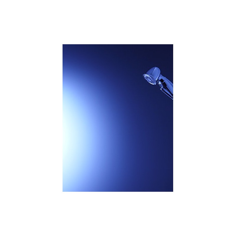 Kohler K-10101-BN Accent Sidespray, Vibrant Brushed Nicket