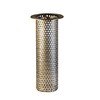 2" Commercial Floor Drain Strainer, 6" Tall, Perforated Stainless Steel
