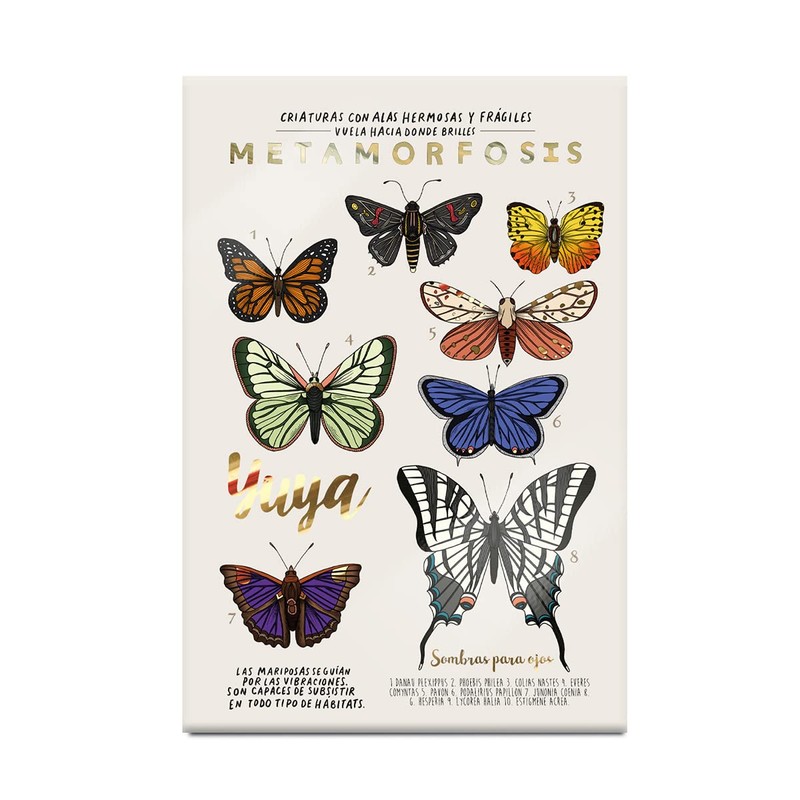 Yuya - Republic Cosmetics Set de Sombras "Metamorfosis" con 18