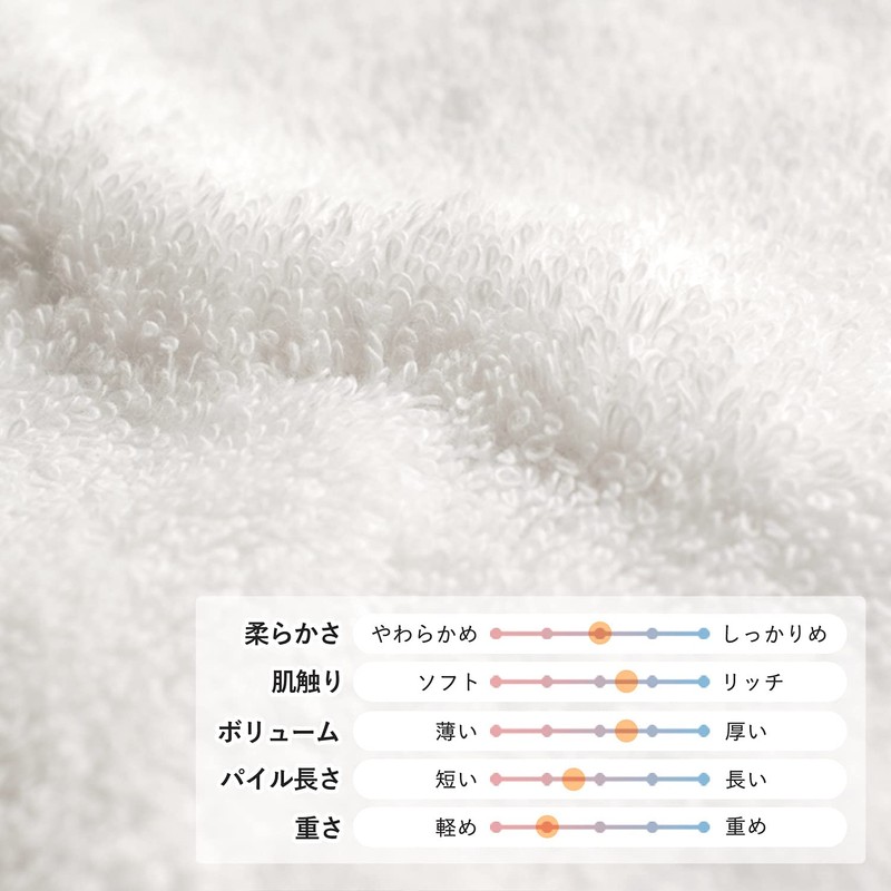 Bloom Imabari Towel Brian Bath Towel Set of 2, Hotel