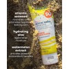 The Seaweed Bath Co. Active Defense SPF 50 Sport Crema
