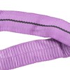 Lifting Sling Hoist Webbing 1T Polyester Rigging Strap Purple for