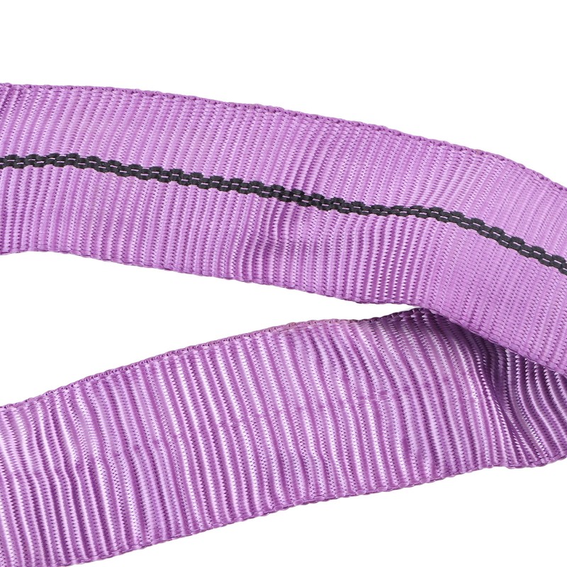 Lifting Sling Hoist Webbing 1T Polyester Rigging Strap Purple for