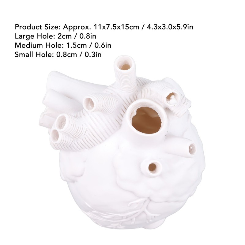 Creative Anatomical Heart Vases Resin Sculpture Heart Shaped Art Flower